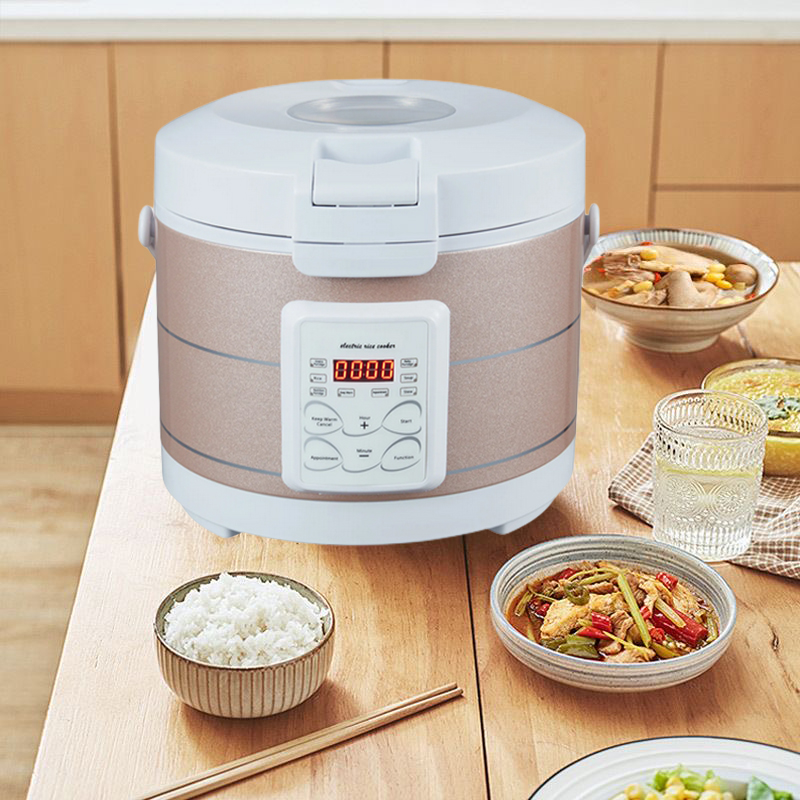 12-24V 220V 밥솥 수프 찜기 가열 도시락 식사 - Home Cooking Heater 리뷰 및 가격